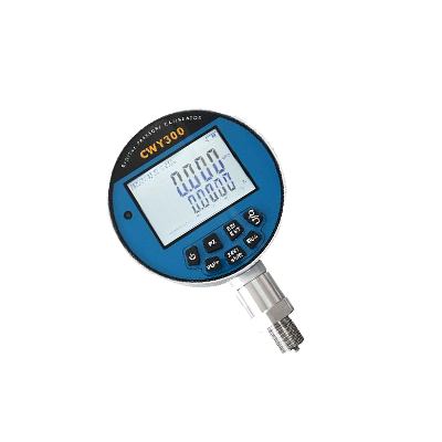 CWY300-pressure-calibrator